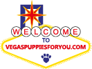 Vegas Puppies For You